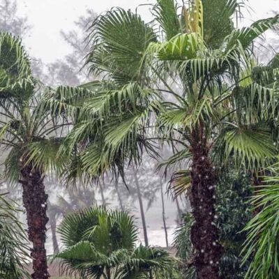 Es wird kälter in Thailand