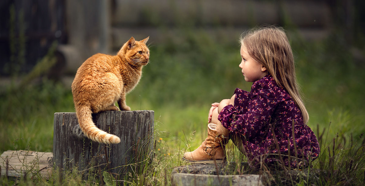 Kinder und Katzen