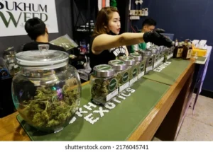 Mehr über den Artikel erfahren Cannabis legalisiert ab 1. April und kein Aprilscherz