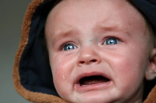 Du betrachtest gerade 17 Jahre alte Mutter hat ihr 2 jähriges Kind in einen Käfig eingesperrt.