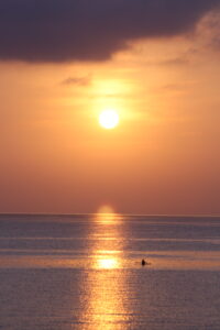 Mehr über den Artikel erfahren Schöne Bilder aus den Philippinen