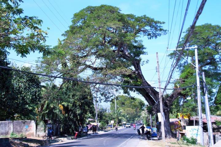Cebu-Alcoy 100 km drei Stunden fahrt