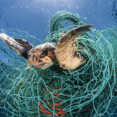 Wer hat das gedacht ? Philippinnen stehen an erster Stelle der Umweltplastik Verschmutzer