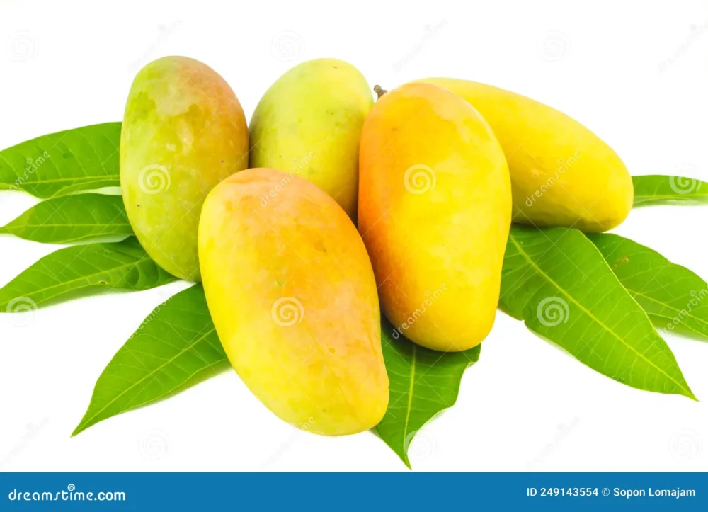 Thailand weltweit auf den 2. Platz Klebereis mit Mango