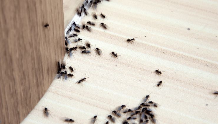 7 auf einen Streich, nein alle sind weg mit diesem Trick