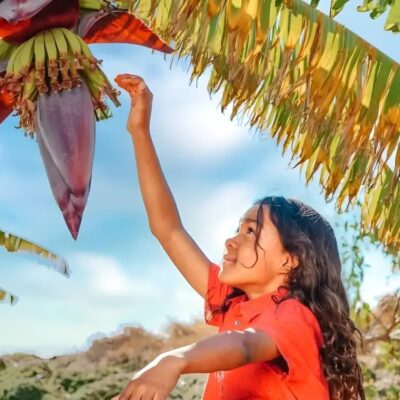 Bananenherzen gut für die Gesundheit