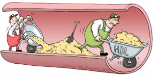 Mehr über den Artikel erfahren Cholesterin im Blut und die Beseitigung