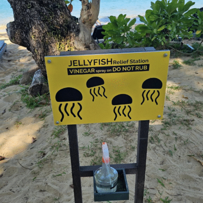 Quallen an der Jomtien Beaches.