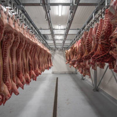 Deshalb ist Schwein so wichtig für den Menschen