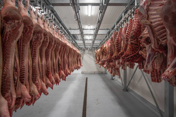 Deshalb ist Schwein so wichtig für den Menschen
