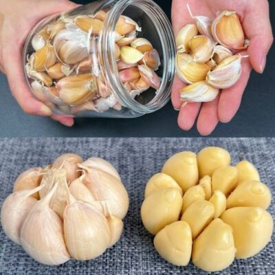 Knoblauch eine Knolle der Gesundheit, auf Vorrat