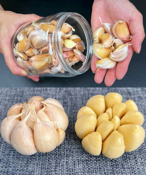 Knoblauch eine Knolle der Gesundheit, auf Vorrat