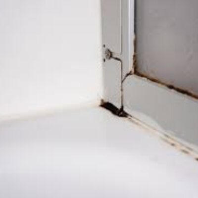 Schau mal deine Dusche an, dann siehst du es, Schimmel