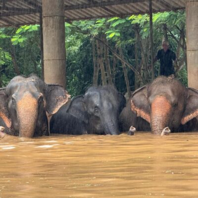 Umweltschäden auch in Thailand