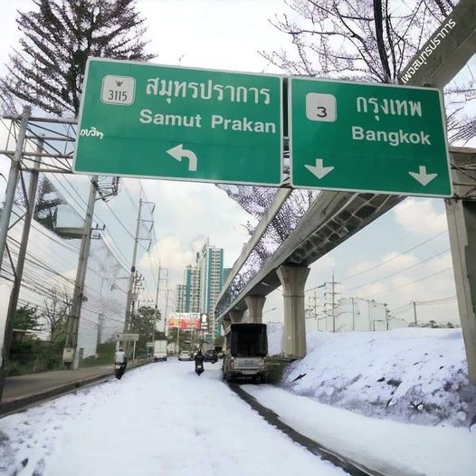 Du betrachtest gerade Dicke und kalte Luft in Thailand, TM 6 soll kommen, illegale Arbeit mit Löwen, versuchte Vergewaltigung