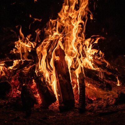 Als ob die Beamten nicht wussten, das dort ein ungenehmigter Betrieb läuft?