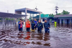 Mehr über den Artikel erfahren Bin gespannt, meist passiert nicht so viel, besonders Pattaya bleibt oft verschont.