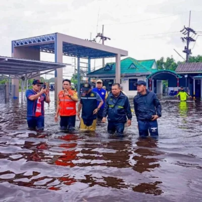 Bin gespannt, meist passiert nicht so viel, besonders Pattaya bleibt oft verschont.