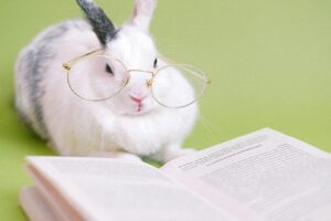 Mehr über den Artikel erfahren Wunderwaffe ja oder nein ? Detox Getränke!