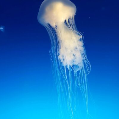 Nachrichten aus Pattaya und anderswo 18.10.2025