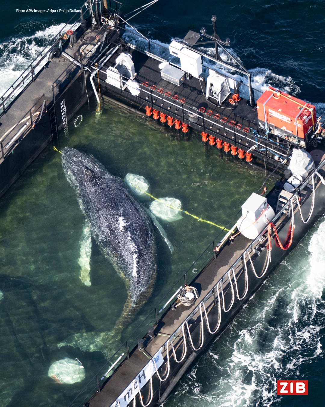 Du betrachtest gerade Die Buchungen lassen auch in Thailand nach,50% Einbuße.
